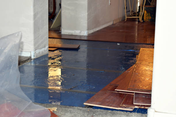 Professional Emergency Water Damage Restoration technician working in Temperance, MI