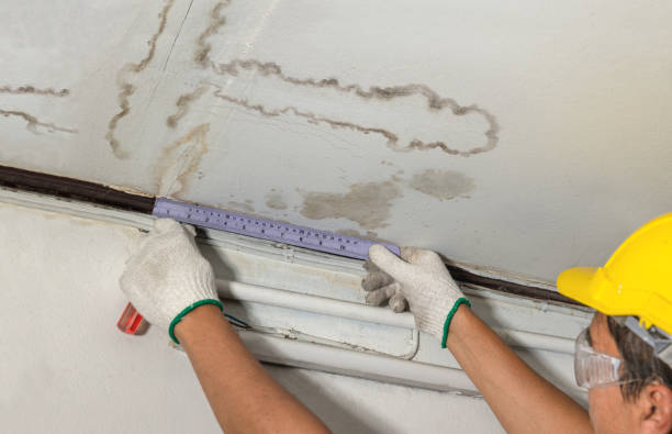 Reliable Emergency Water Damage Restoration contractor in Temperance, MI by Water Damage Irwin